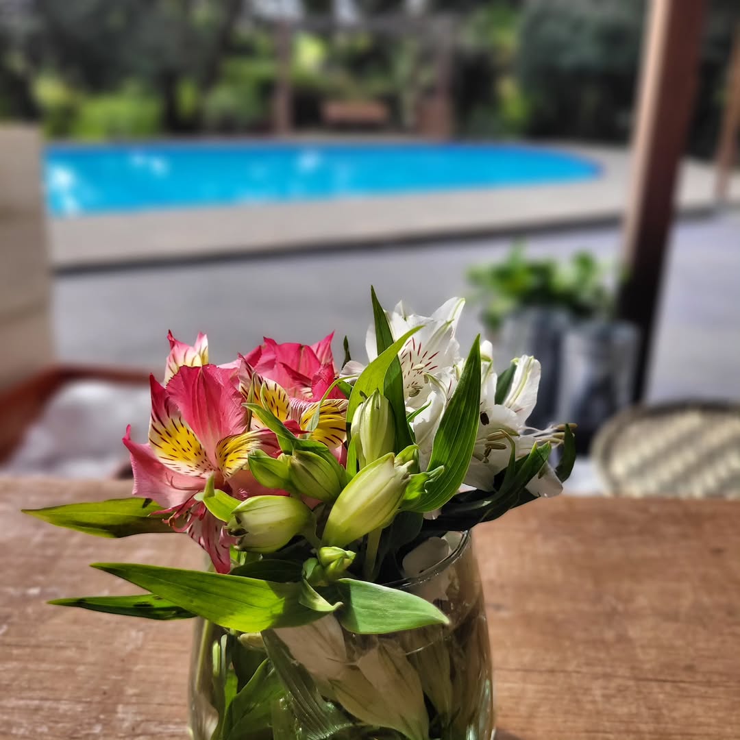 Casa Floresta - Galeria