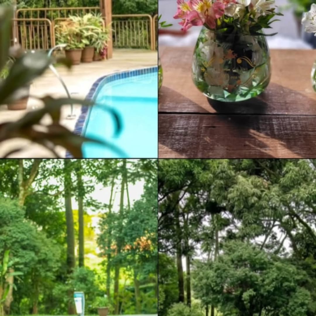 Casa Floresta Evento